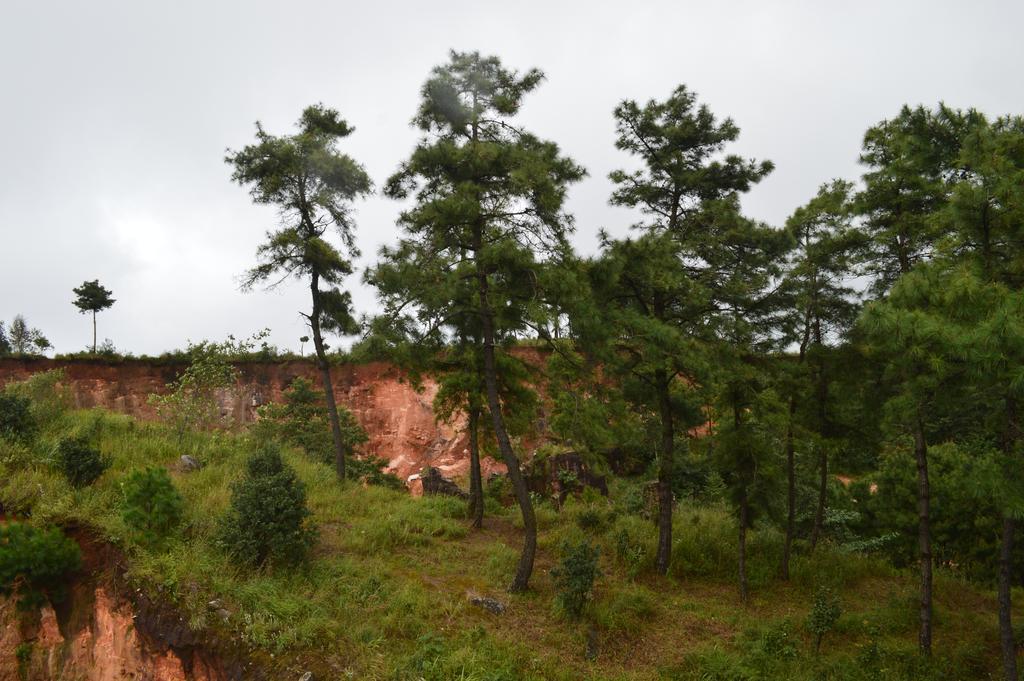 Orange Homestay Shillong Zewnętrze zdjęcie