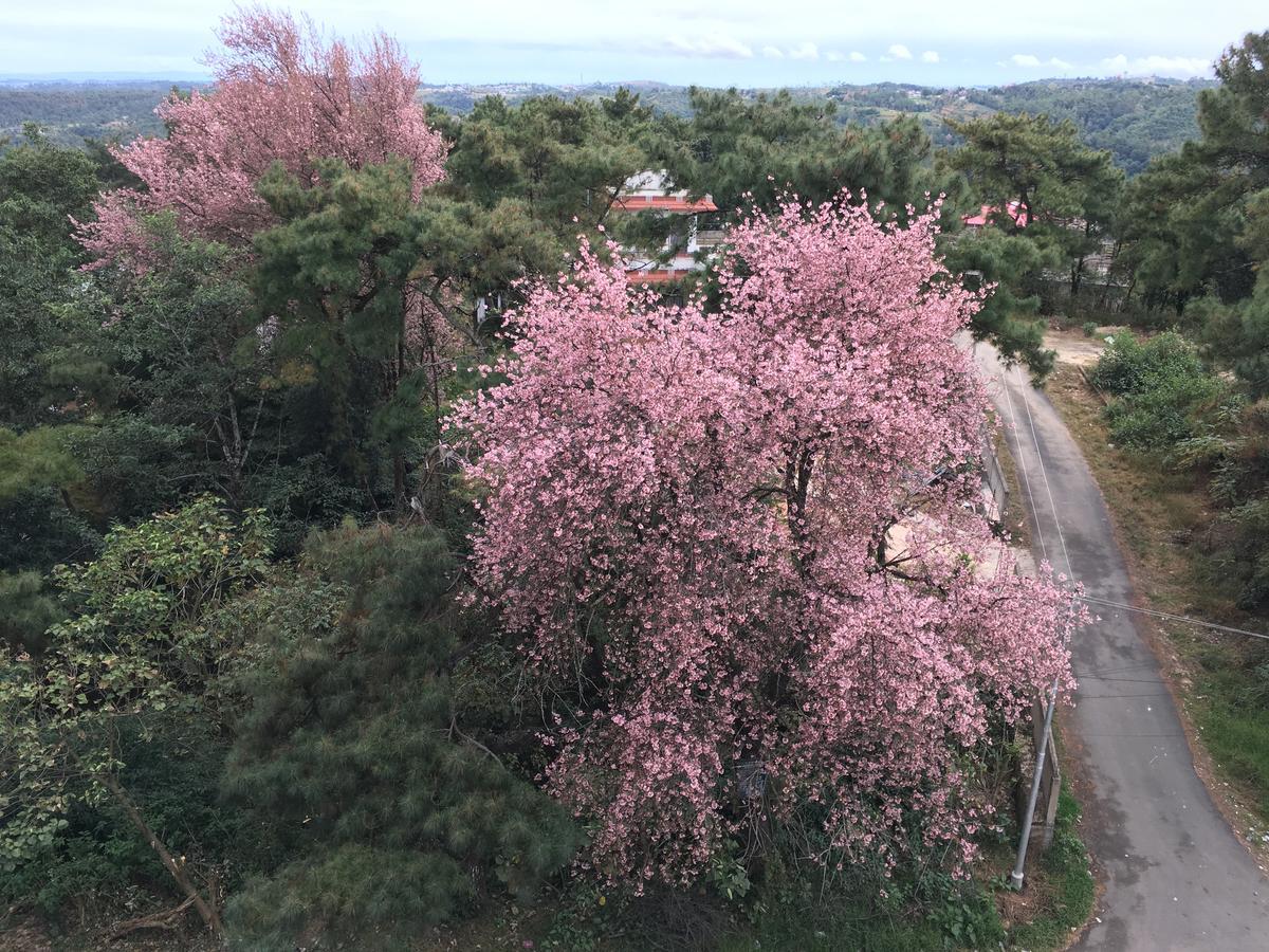 Orange Homestay Shillong Zewnętrze zdjęcie